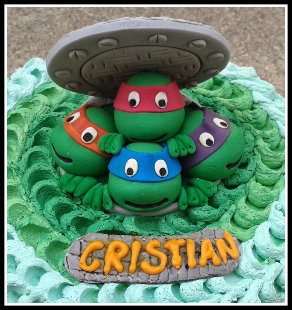 TMNT Ninjas Turtles, Birthday Parties, Cake Design, Cake Ideas, Parties Ideas, Ninja Turtle Cakes, Ninja Turtles, Turtles Cake, Birthday Cake