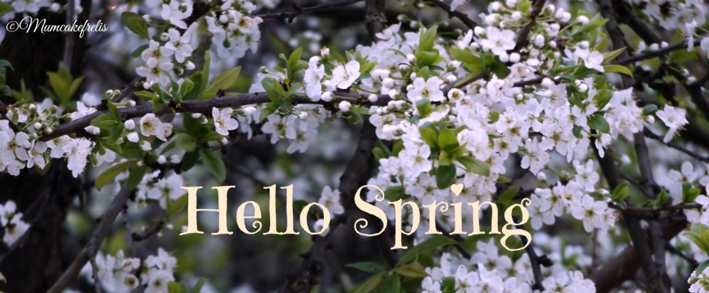 ramo di susino in fiore con scritta Hello spring