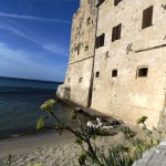 Follonica, Magma e Torre Mozza