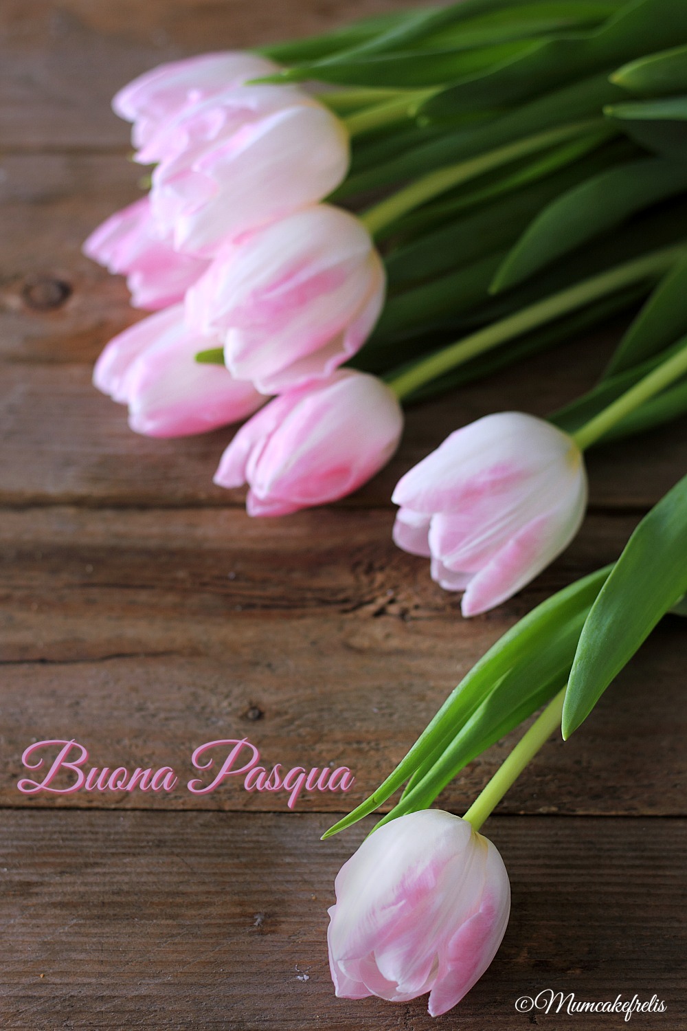 Buona Pasqua