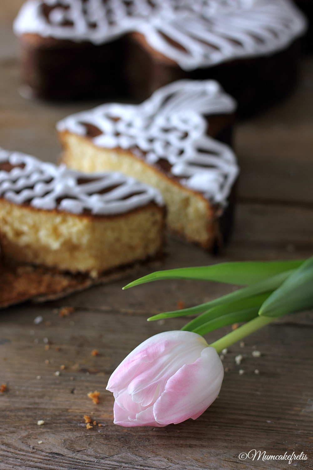 focaccia veneta di pasqua a forma di colomba