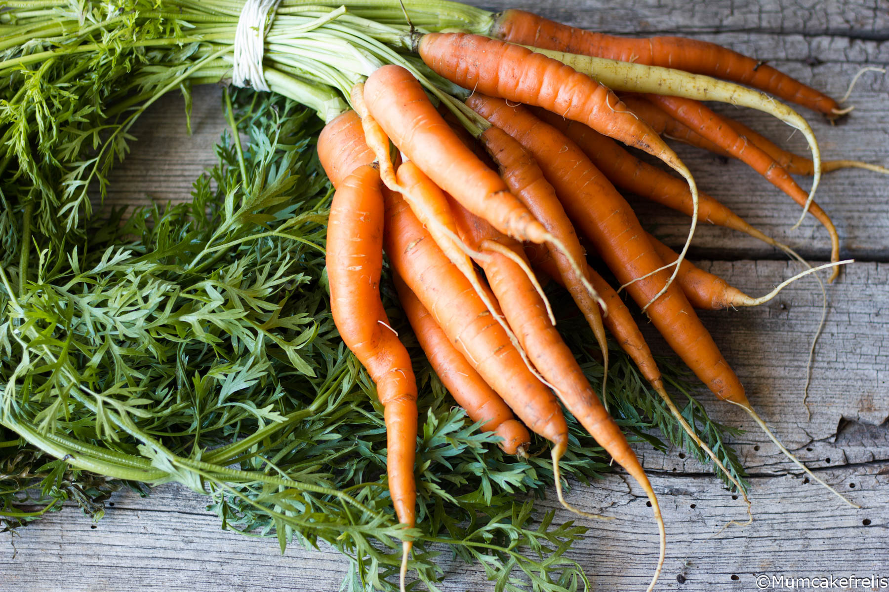  carote ricette veloci
