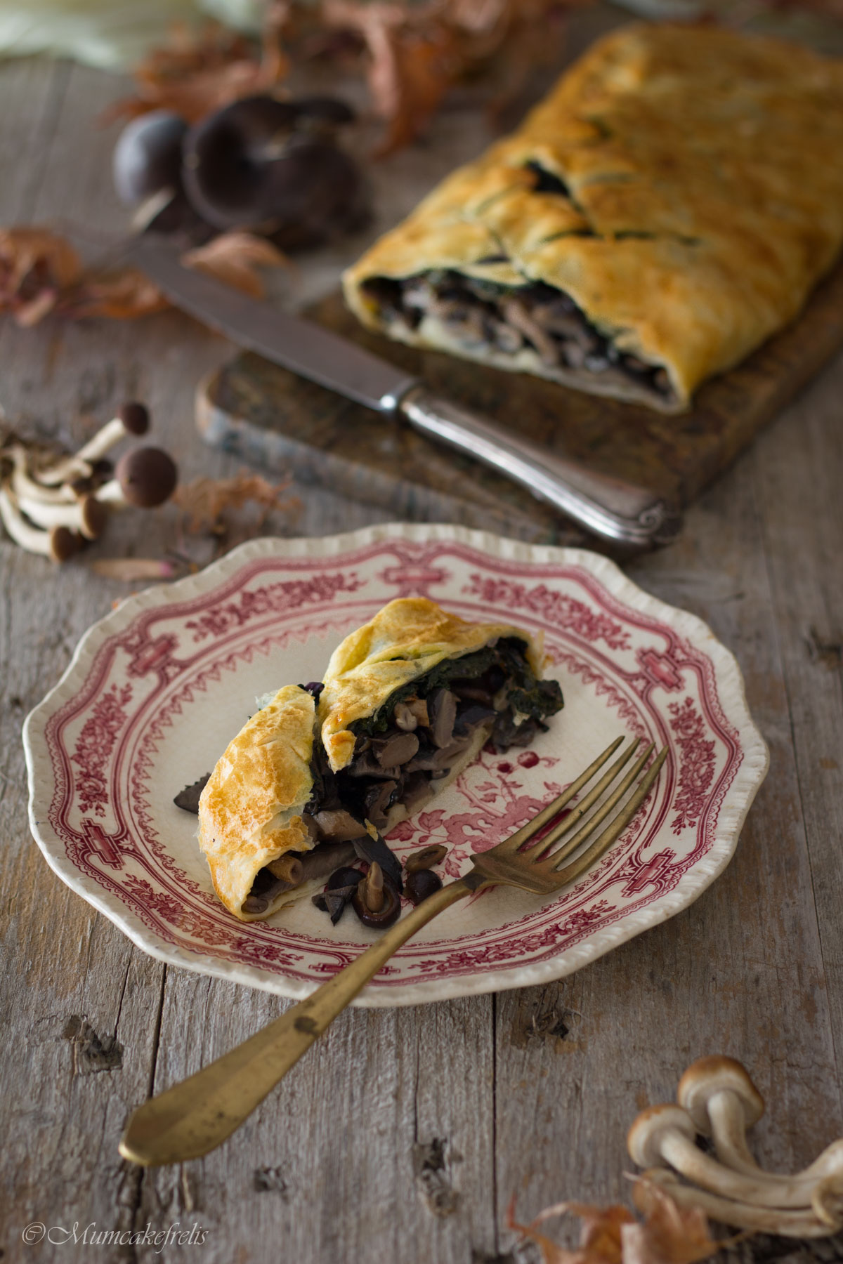 Rotolo di funghi e spinaci