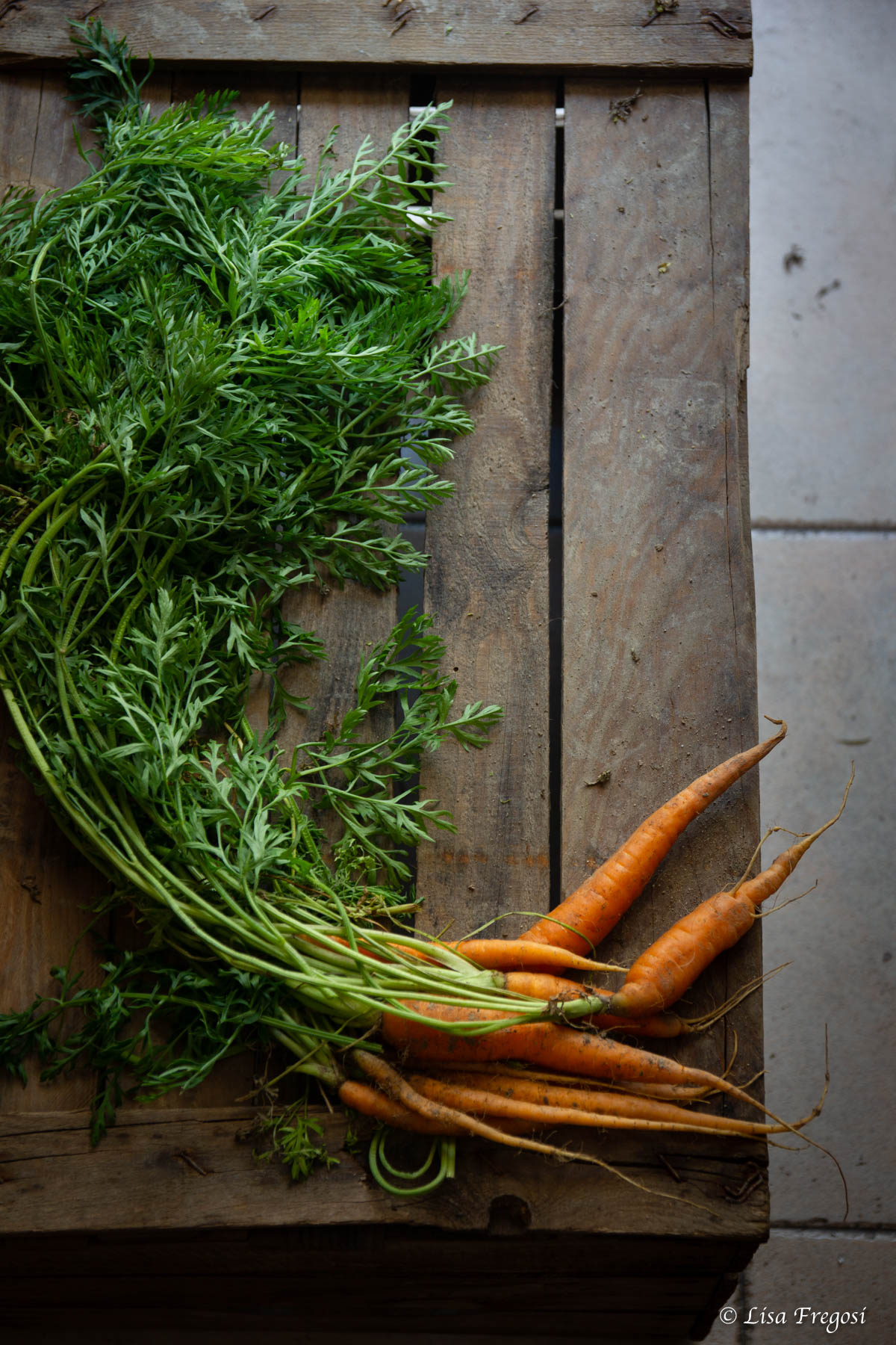 carote ciuffo utilizzo in cucina