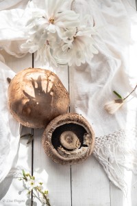 white-food-photography-fregosi-lisa
