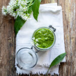 pesto di aglio orsino ricetta